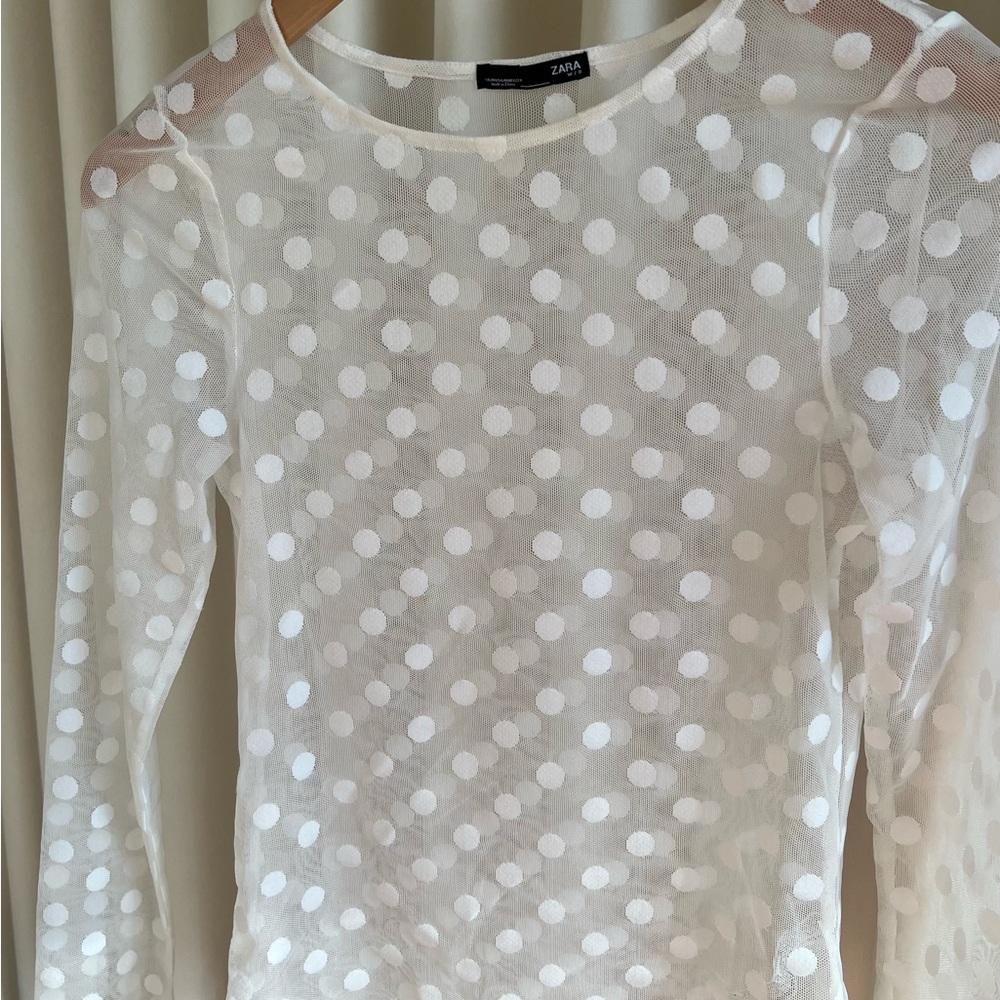 Zara sheer tone on tone polka-dot top.